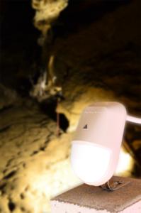 Motion sensor